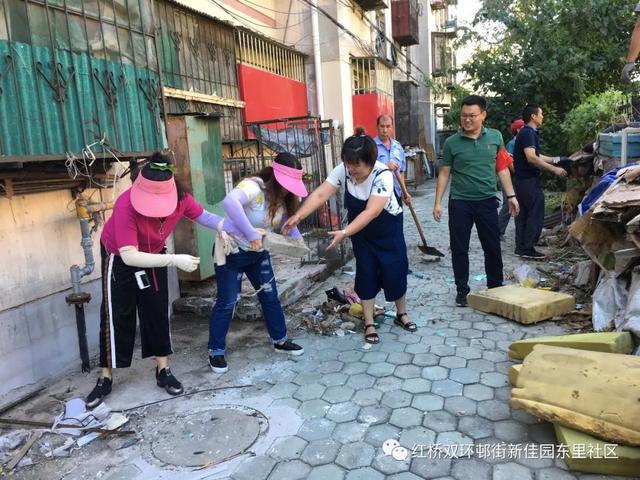红桥区“双百”行动见实效,“五清零”打造宜居环境!