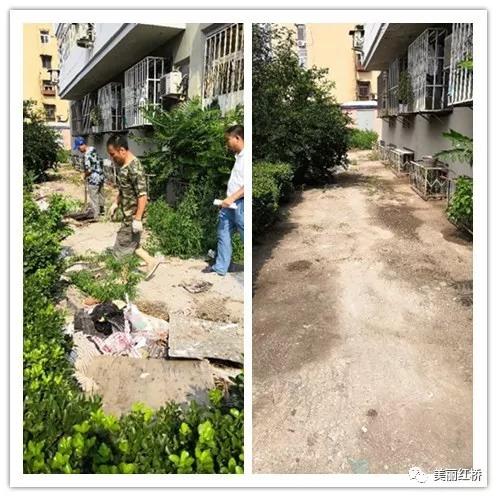 创文创卫成效显著!红桥网友争晒自家小区美图