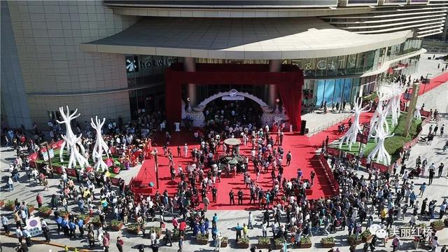 红桥再添商业新地标,L+MALL陆家嘴中心正式亮相,带给市民全新体验