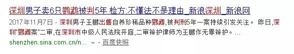 野生动物保护升级,捕鸟贩鸟者该收手了!
