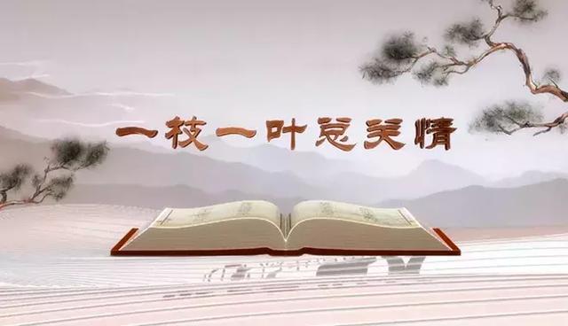 “微课堂”《平“语”近人——习近平总书记用典》第一集:一枝一叶总关情