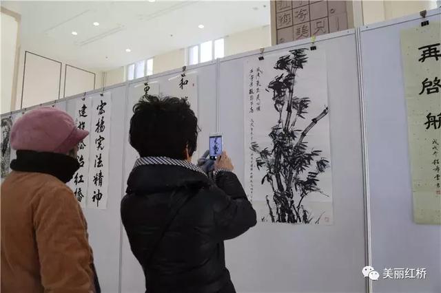 “124”国家宪法日,红桥区的活动绝对让你目不暇接