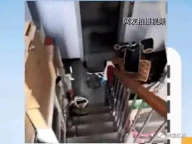 “创文创卫进行时”《小刘说红桥》之“楼道革命”(一)