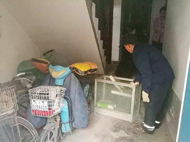 “创文创卫进行时”是的,我们和楼道杠上了……