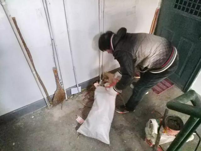 “创文创卫进行时”是的,我们和楼道杠上了……