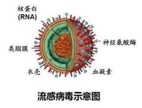 “画说健康”冬春季节预防流感,健健康康过新春