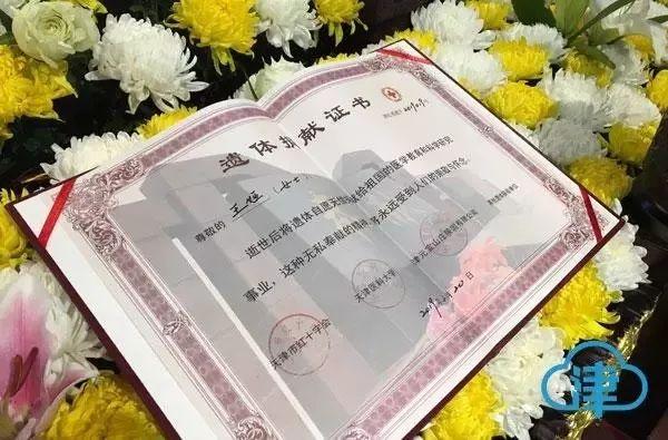津论:用“平凡之善”烛照人间